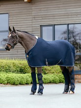 LeMieux Kudos 3D Mesh Travel Rug